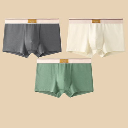 Cotton Theory Men’s Boxer Brief Set