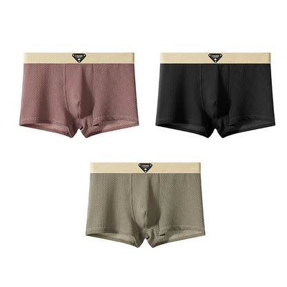 Flex Men’s Silk Boxers 3-Pack Set