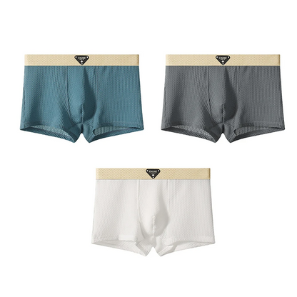 Flex Men’s Silk Boxers 3-Pack Set