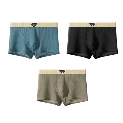 Flex Men’s Silk Boxers 3-Pack Set