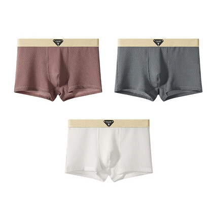 Flex Men’s Silk Boxers 3-Pack Set